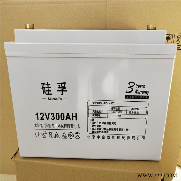 硅孚蓄电池12V38AH 铅酸免维护蓄电池 太阳能风能专用蓄电池 环保硅胶蓄电池 质保三年图4