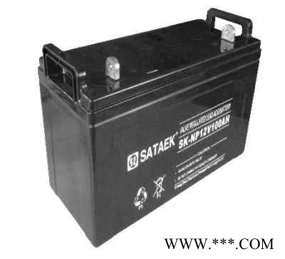 蓄雷STORACE蓄电池SR150-12/12V150AH 太阳能蓄电池 UPS不间断电源 风力发电储备电源照明应急图3