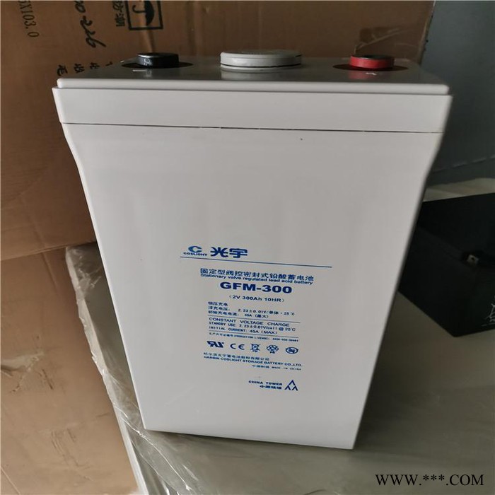 光宇蓄电池GFM-100 铅酸免维护蓄电池 风力发电蓄电池 太阳能蓄电池 蓄电池厂家 蓄电池代理图8