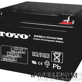 TOYO蓄电池6FM24东洋免维护蓄电池12V24AH UPS不间断电源专用 TOYO蓄电池报价/参数 太阳能蓄电池图7