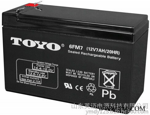 TOYO蓄电池6FM24东洋免维护蓄电池12V24AH UPS不间断电源专用 TOYO蓄电池报价/参数 太阳能蓄电池图4