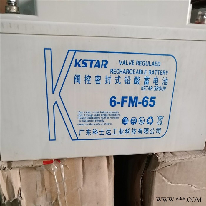 科士达蓄电池 叉车蓄电池 6-FM-55蓄电池 光伏蓄电池 长期有货图1