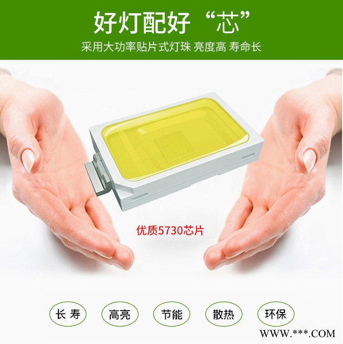 厂家太阳能庭院灯一体化太阳能路灯新农村家用太阳能苹果灯桃子灯图2