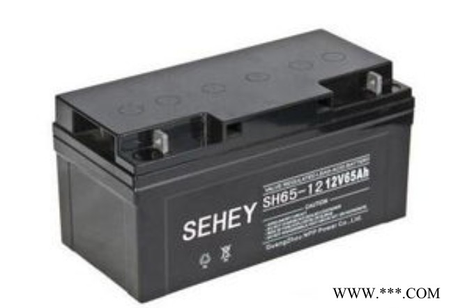 西力SEHEY蓄电池SH50-12/12V50AH 免维护蓄电池 UPS电源 铅酸蓄电池 太阳能蓄电池图5