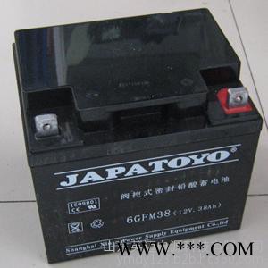 TOYO蓄电池6GFM200东洋免维护蓄电池12V200AH UPS不间断电源专用 TOYO蓄电池报价参数 太阳能蓄电池图4
