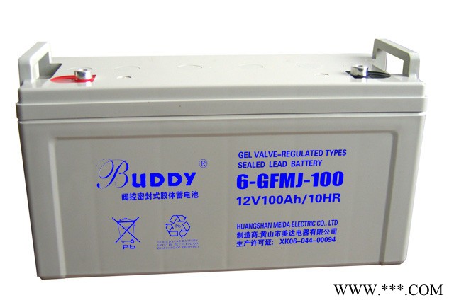 宝迪BUDDY蓄电池6-FM-24/12V24AH 宝迪蓄电池 UPS不间断电源 太阳能蓄电池 胶体蓄电池图5