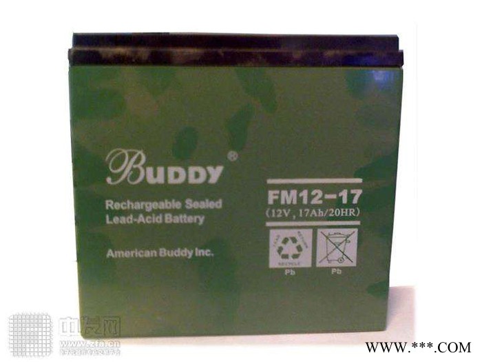 宝迪BUDDY蓄电池6-FM-24/12V24AH 宝迪蓄电池 UPS不间断电源 太阳能蓄电池 胶体蓄电池图4