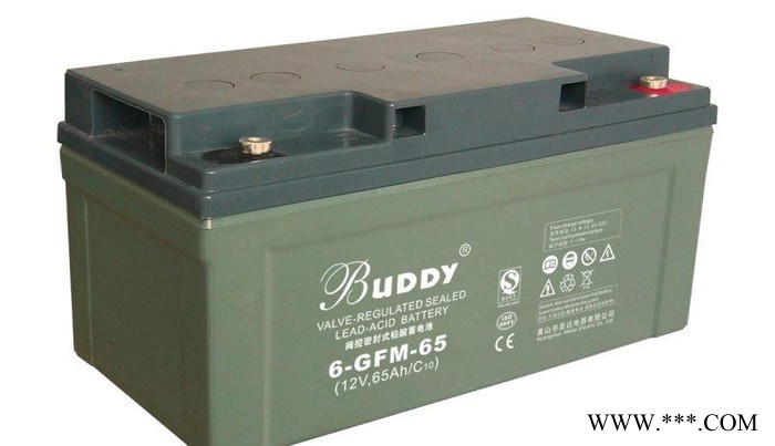 宝迪BUDDY蓄电池6-FM-24/12V24AH 宝迪蓄电池 UPS不间断电源 太阳能蓄电池 胶体蓄电池图6