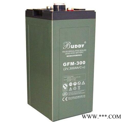宝迪BUDDY蓄电池6-FM-24/12V24AH 宝迪蓄电池 UPS不间断电源 太阳能蓄电池 胶体蓄电池图2