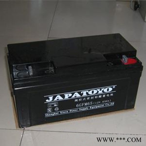 TOYO蓄电池6GFM100东洋免维护蓄电池12V100AH UPS不间断电源专用 TOYO蓄电池报价参数 太阳能蓄电池图4
