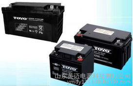 TOYO蓄电池6GFM100东洋免维护蓄电池12V100AH UPS不间断电源专用 TOYO蓄电池报价参数 太阳能蓄电池图2