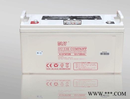 BLSF保利时蓄电池6-GFM100宝利时12V100AH阀控密封铅酸蓄电池保利时机房ups免维护蓄电池太阳能电池图3