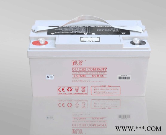 BLSF保利时蓄电池6-GFM100宝利时12V100AH阀控密封铅酸蓄电池保利时机房ups免维护蓄电池太阳能电池图2