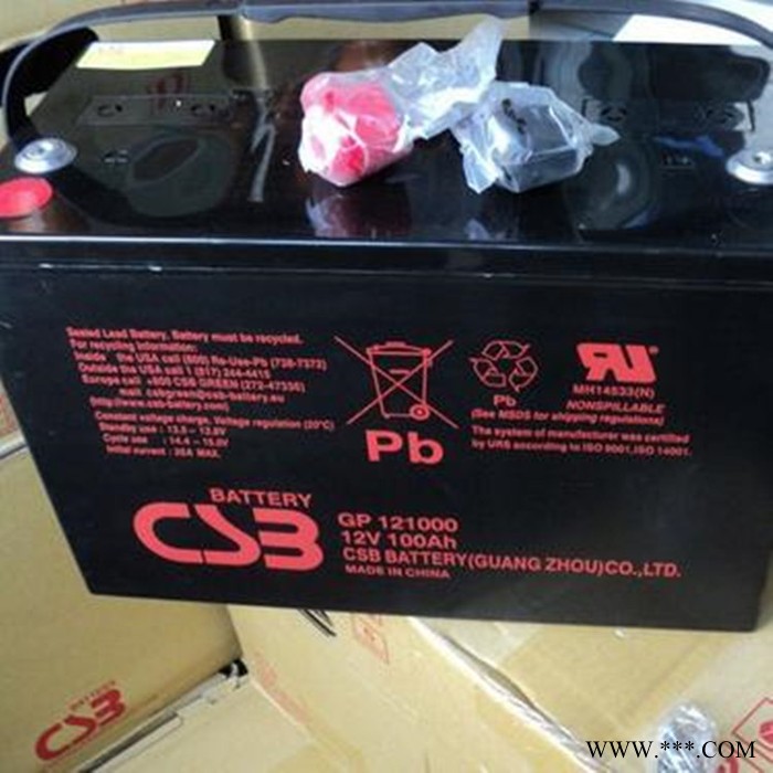 CSB蓄电池MSJ-100 风力发电蓄电池 直流屏蓄电池 蓄电池厂家 太阳能蓄电池图2