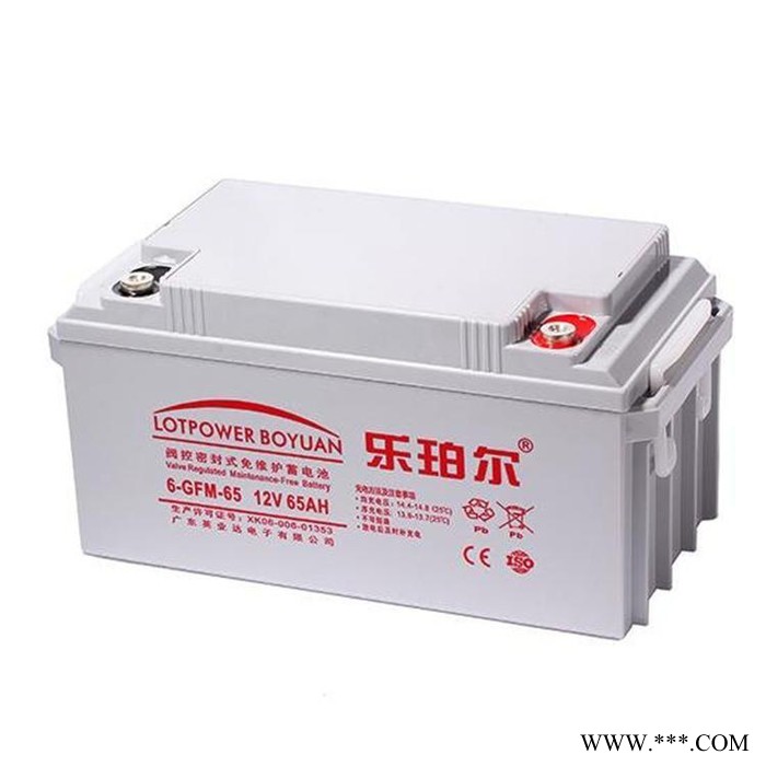 乐珀尔蓄电池LP200-12 12V200AH阀控密封式免维护蓄电池 光伏太阳能电池 UPS电源电池 EPS直流屏电池图8