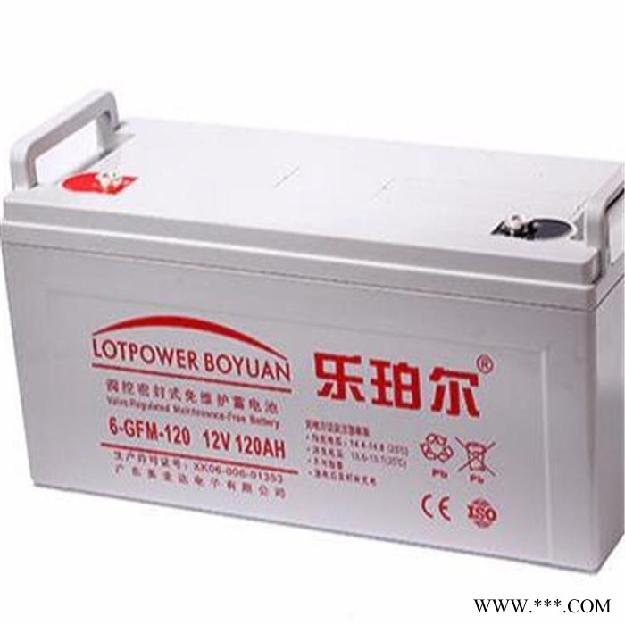 乐珀尔蓄电池LP200-12 12V200AH阀控密封式免维护蓄电池 光伏太阳能电池 UPS电源电池 EPS直流屏电池图2