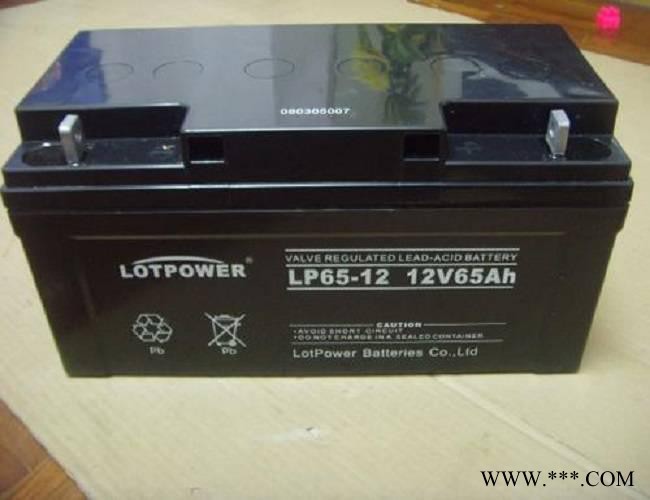 乐珀尔蓄电池LP200-12 12V200AH阀控密封式免维护蓄电池 光伏太阳能电池 UPS电源电池 EPS直流屏电池图7