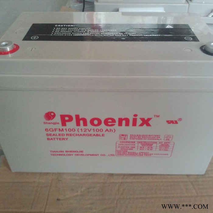 菲尼克斯蓄电池KB121500 12V150AH凤凰太阳能引线蓄电池 UPS电池批发图2