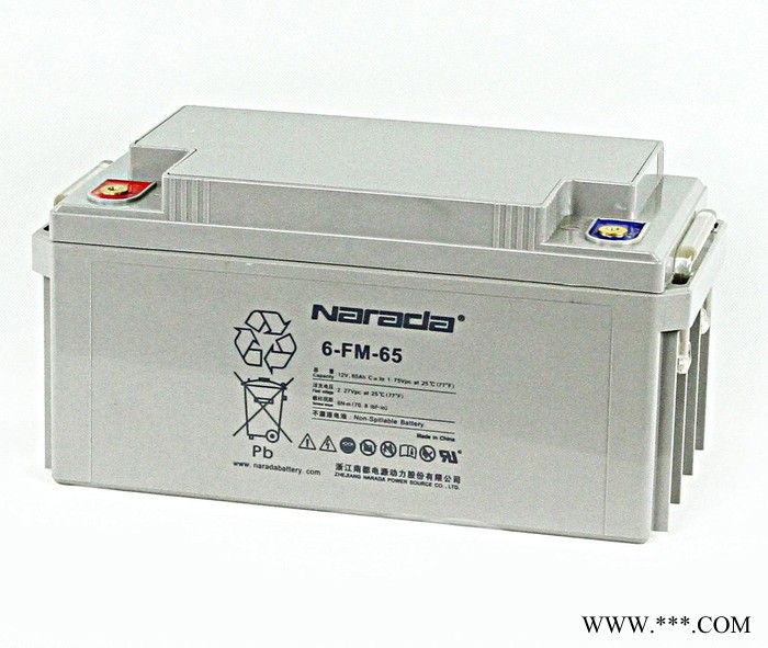 南都蓄电池6-GFM-38免维护12V38AH铅酸蓄电池 UPS不间断电源专用 太阳能专用高功率蓄电池图2