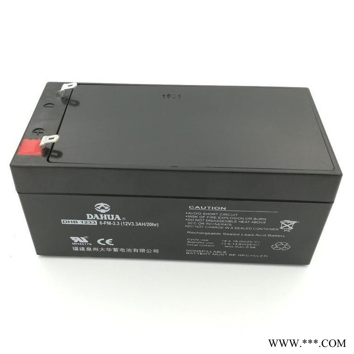大华蓄电池12V40AH储能太阳能光伏ups电源图4