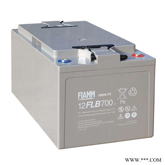 FIAMM非凡蓄电池12SP200/12V200AH非凡蓄电池 免维护铅酸蓄电池 太阳能蓄电池 UPS不间断电源图2