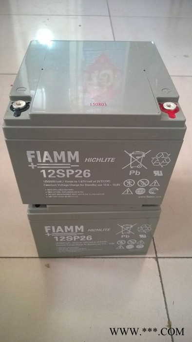 FIAMM非凡蓄电池12SP200/12V200AH非凡蓄电池 免维护铅酸蓄电池 太阳能蓄电池 UPS不间断电源图5