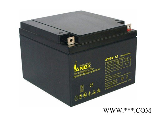 威博VANBO蓄电池NP150-12/12V150AH 威博蓄电池 铅酸免维护蓄电池 太阳能蓄电池风力发电储备电源图2