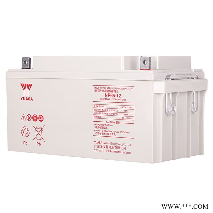 YUASA汤浅蓄电池NP100-12汤浅蓄电池12V100AH太阳能胶体蓄电池光伏专用汤浅太阳能胶体蓄电池广东汤浅蓄电池图3