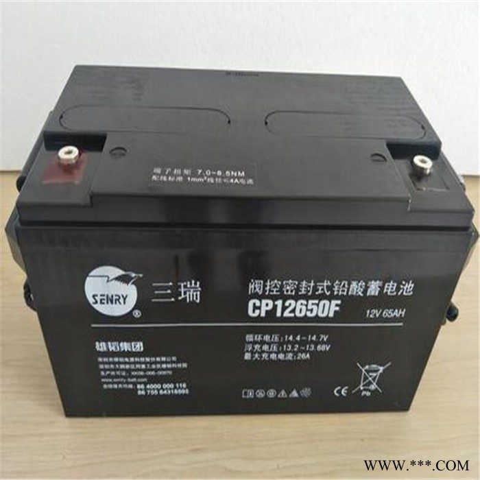 销售原装三瑞蓄电池6FM-100-X不间断蓄电池太阳能电池12V100AH厂家供应图7