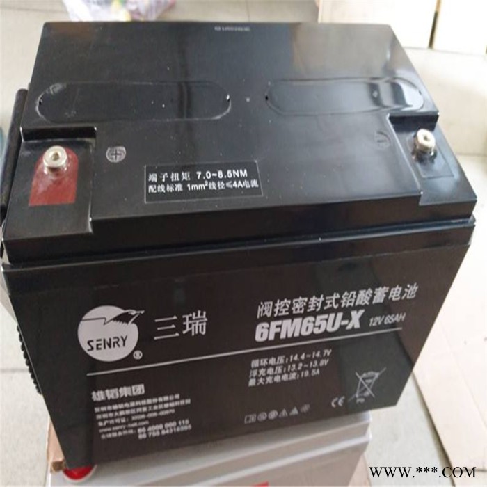 销售原装三瑞蓄电池6FM-100-X不间断蓄电池太阳能电池12V100AH厂家供应图8