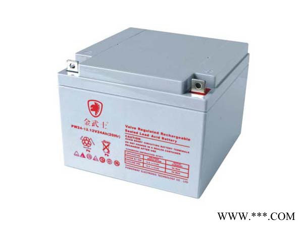 金武士蓄电池PW120-12/12V120AH UPS不间断电源 UPS蓄电池 蓄电池厂家 太阳能蓄电池图2