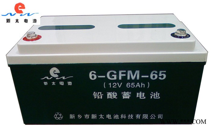 太阳能系统阀控式密封铅酸蓄电池6-GFM-65图4