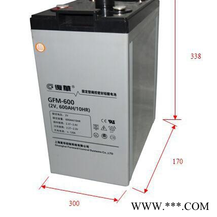 复华蓄电池GFM-600/2v600ah厂销 太阳能蓄电池 光伏发电蓄电池批发图3