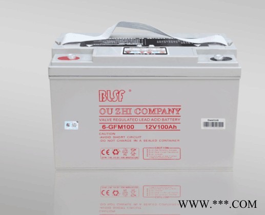 BLSF保利时蓄电池6-GFM150宝利时12V150AH阀控密封铅酸蓄电池保利时机房ups免维护蓄电池太阳能电池图3