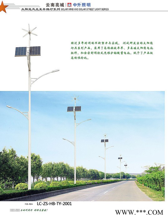 有路的地方就有中升照明太阳能路灯 太阳能风光互补路灯 庭院灯生产厂家图2