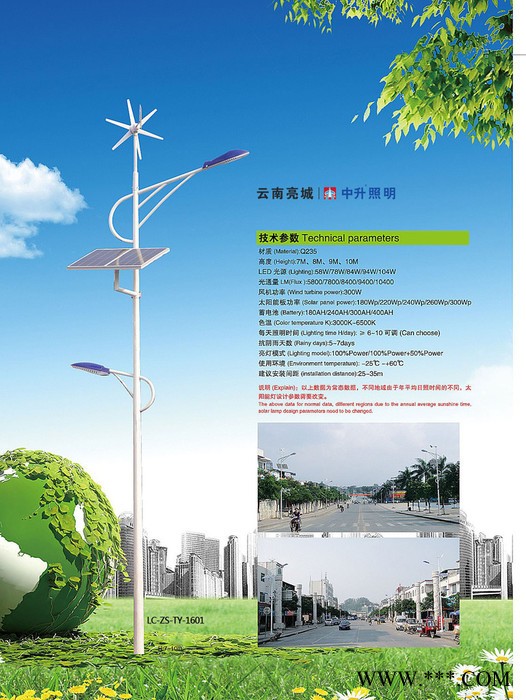 有路的地方就有中升照明太阳能路灯 太阳能风光互补路灯 庭院灯生产厂家图3