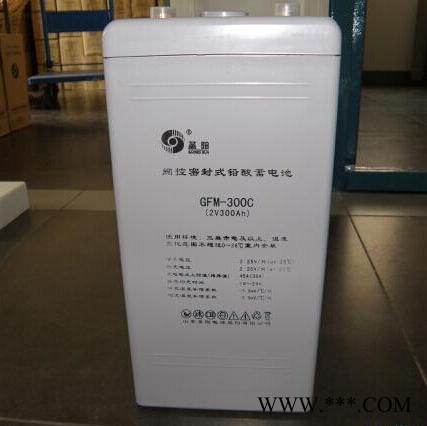 圣阳蓄电池GFM-3000C免维护蓄电池2V3000AH太阳能发电储能电池报价图2