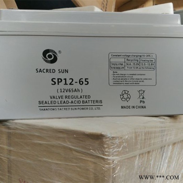 山东圣阳蓄电池SP12-200 12V200AH太阳能 免维护蓄电池 储能蓄电池图3