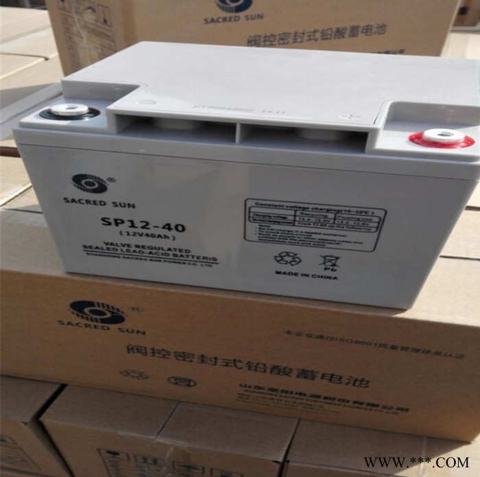 山东圣阳蓄电池SP12-200 12V200AH太阳能 免维护蓄电池 储能蓄电池图2