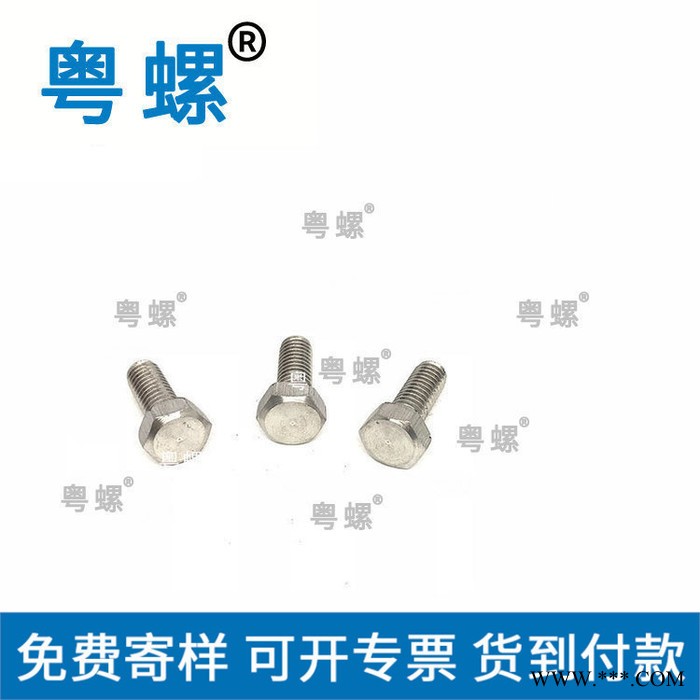304不锈钢螺丝厂 粤螺T型螺丝 欧标45型材东莞光伏支架螺栓 .图4