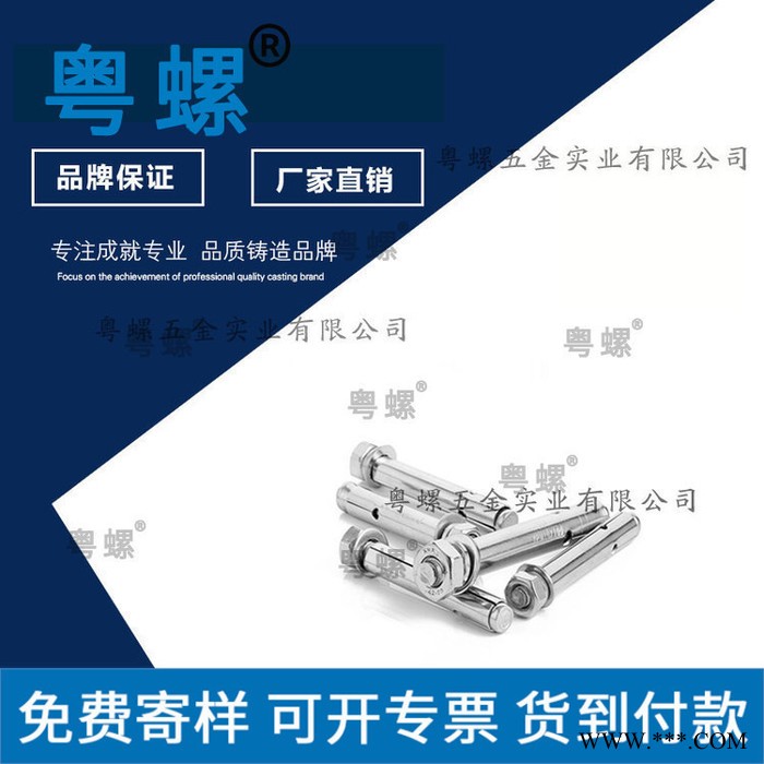 304不锈钢螺丝厂 粤螺T型螺丝 欧标45型材东莞光伏支架螺栓 .图5