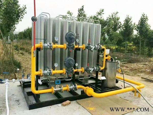 双庆 LNG气化调压设备 天然气设备 天然气调压箱 调压器 **价廉 量大从优 现场安装调试 欢迎来电咨询图2