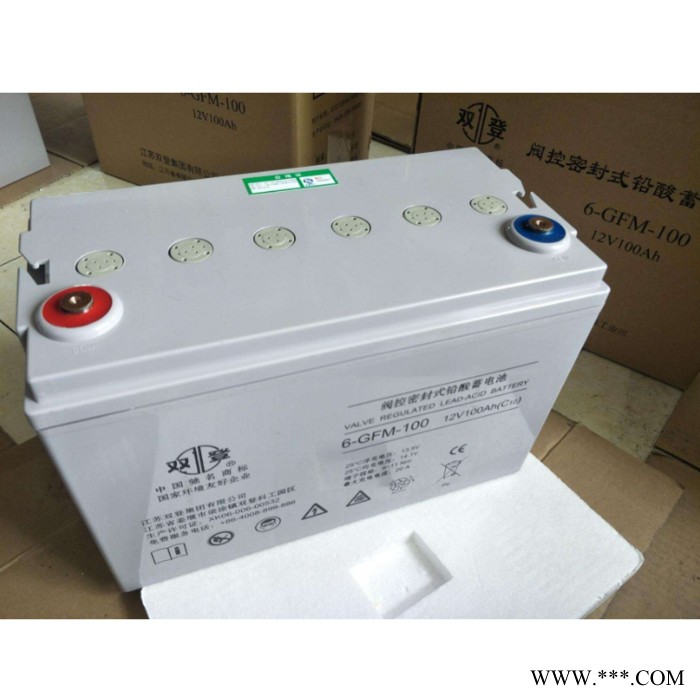 6-GFM-100H双登蓄电池机房铅酸免维护储能应急电源12V100AH蓄电池厂家图4