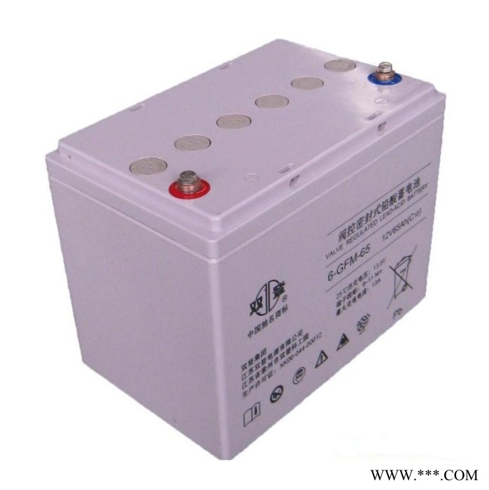 6-GFM-100H双登蓄电池机房铅酸免维护储能应急电源12V100AH蓄电池厂家图2