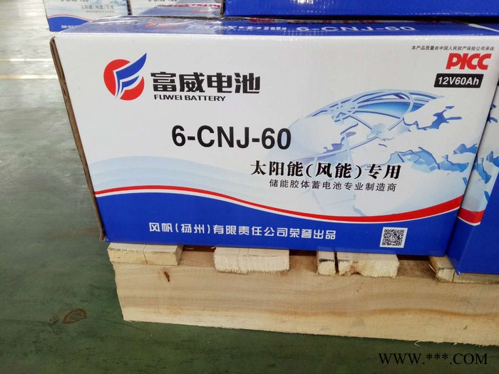 风帆太阳能蓄电池6-CNJ-60 胶体蓄电池图4