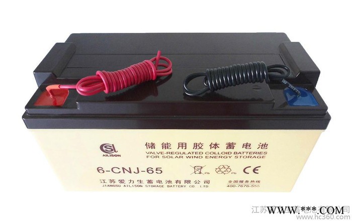 供应6-CNJ-65AH蓄电池/江苏蓄电池/蓄电池批发/胶体电池采购/爱力生蓄电池/太阳能蓄电池图2