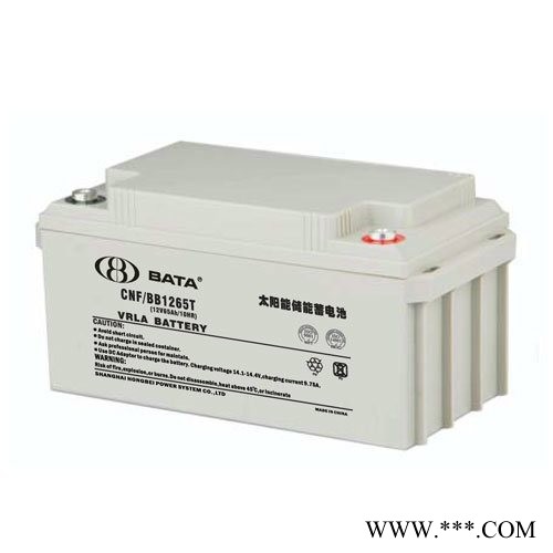 上海鸿贝蓄电池CNF/BB1265T太阳能专用储能蓄电池 现场供应图3