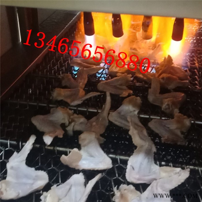 义康牌SMJ-2000型整鸡天然气烧毛机 大鹅液化烧毛机 双火源烤毛设备图2