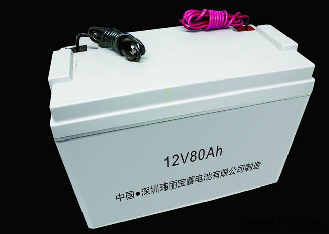玮丽宝太阳能蓄电池图7