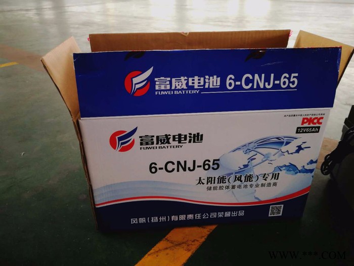 风帆蓄电池6-CNJ-65 胶体储能蓄电池图3
